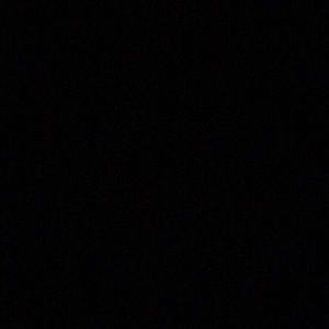 Meet your Posher, Ty